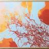 "Euphonia" 11 x 12" framed print $100